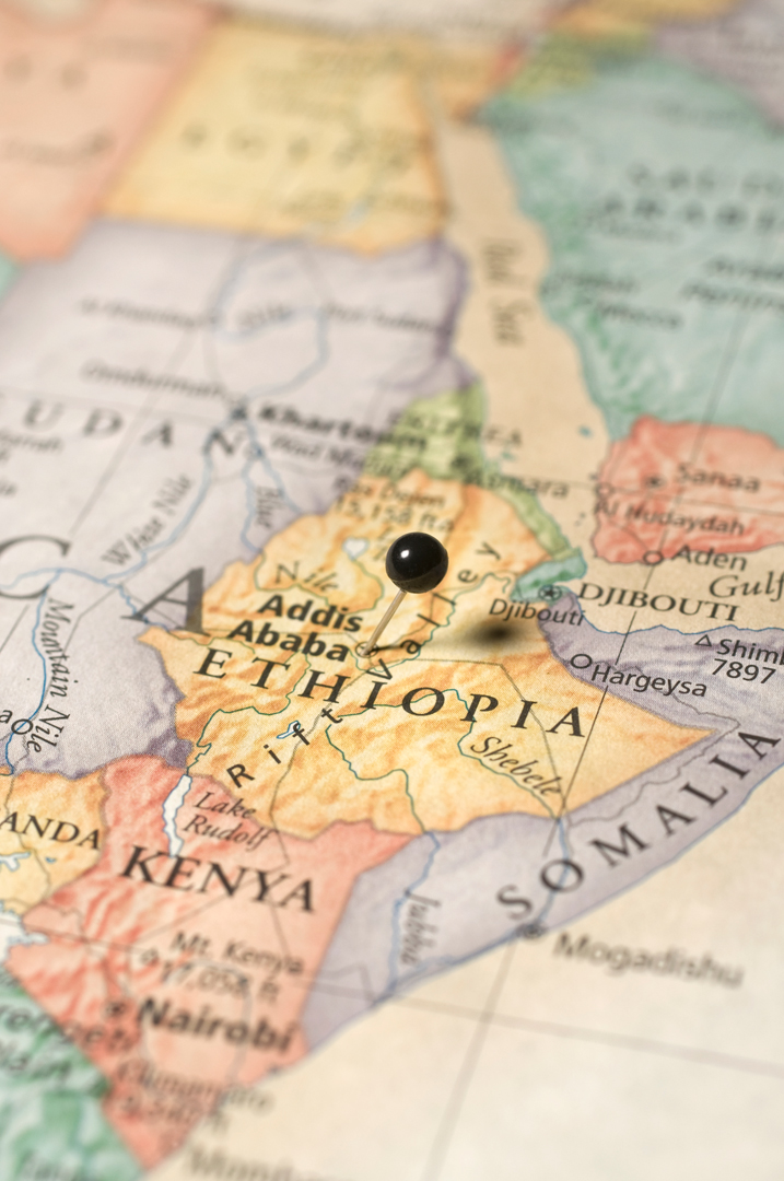 <p>Affirming its commitment to the African continent, Unisa opens a Regional Learning Centre in Addis Ababa, Ethiopia. Within three years, the Centre will have more than 5,000 students at all levels.</p>